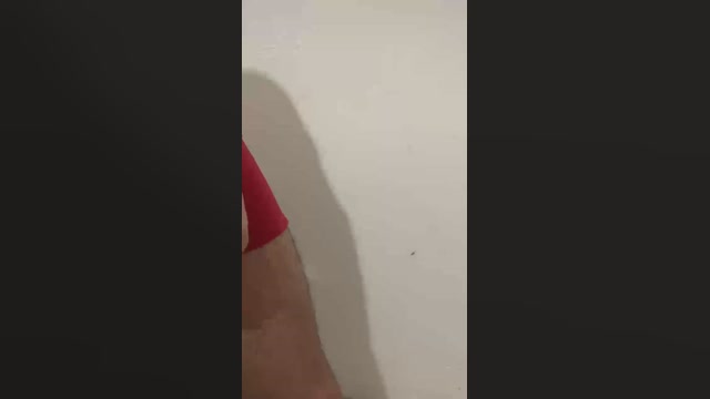 marcopzpz  12-05-2022